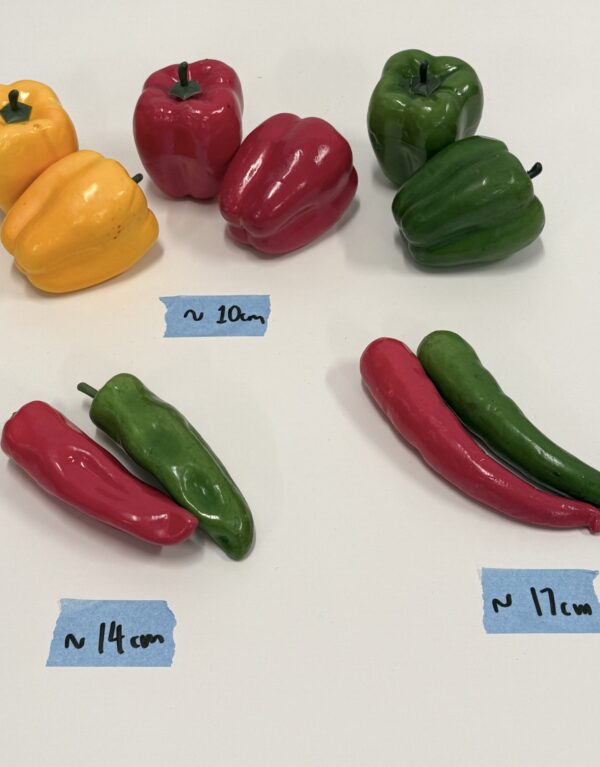 Artificial Veggies