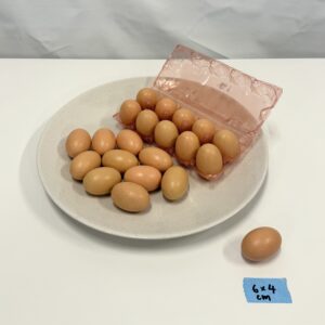 Artificial Eggs - Wood