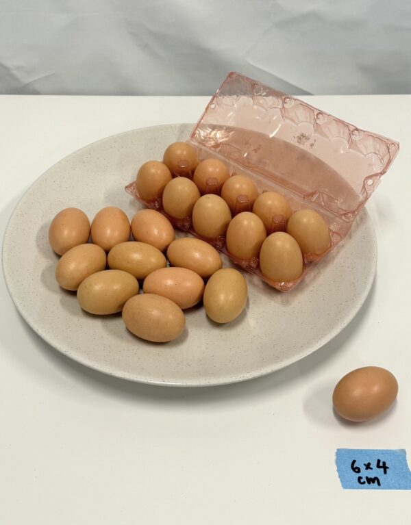 Artificial Eggs - Wood
