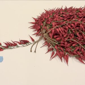 Artificial Hanging Chili – Small size
