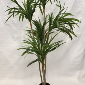 Standing Plant (B1)