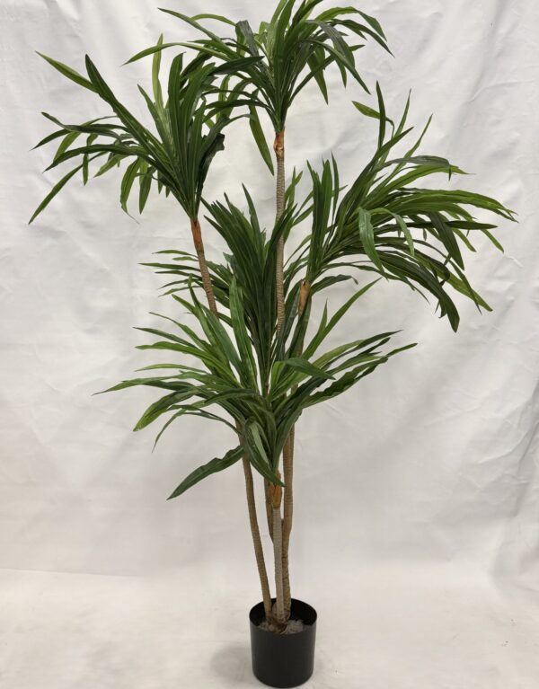 Standing Plant (B1)