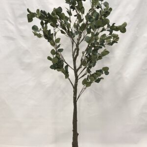 Standing Plant (C1)