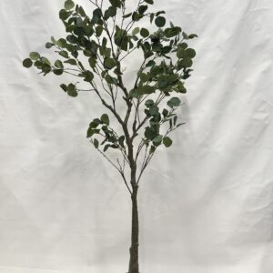 Standing Plant (C2)