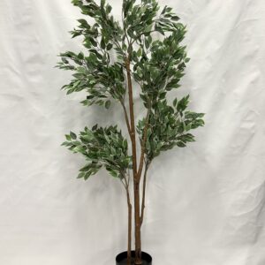 Standing Plant (D1)