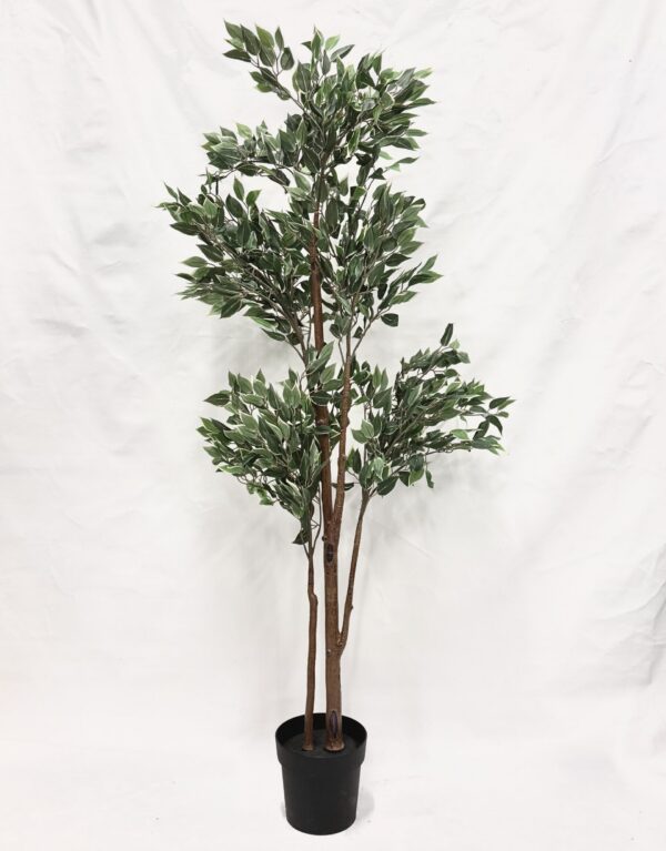Standing Plant (D3)