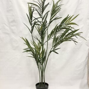 Standing Plant (E2)