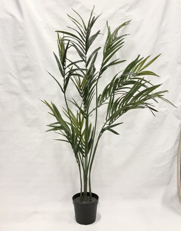 Standing Plant (E2)