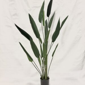 Standing Plant (F3)