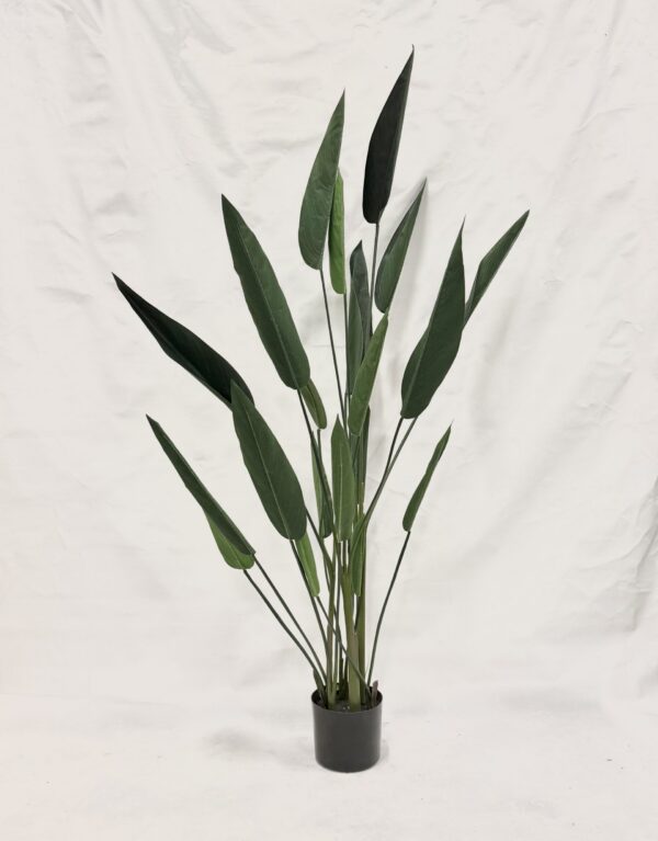 Standing Plant (F3)
