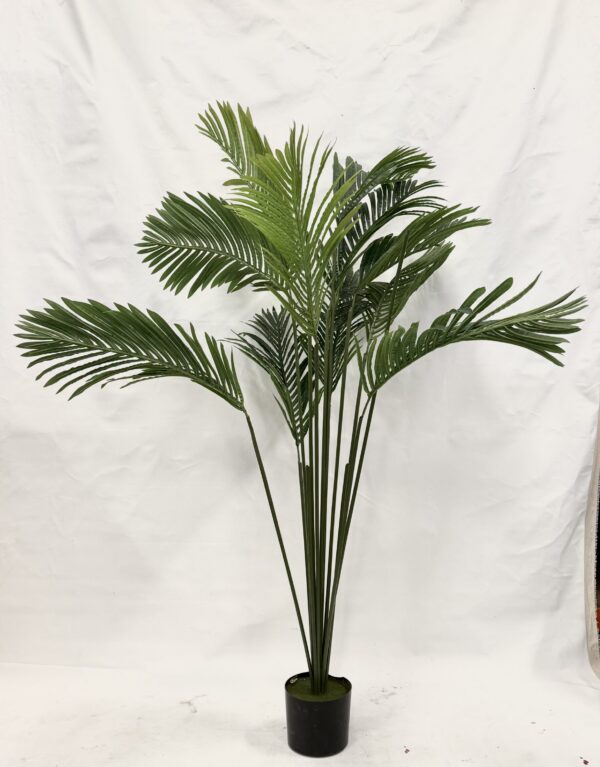 Standing Plant (G1)