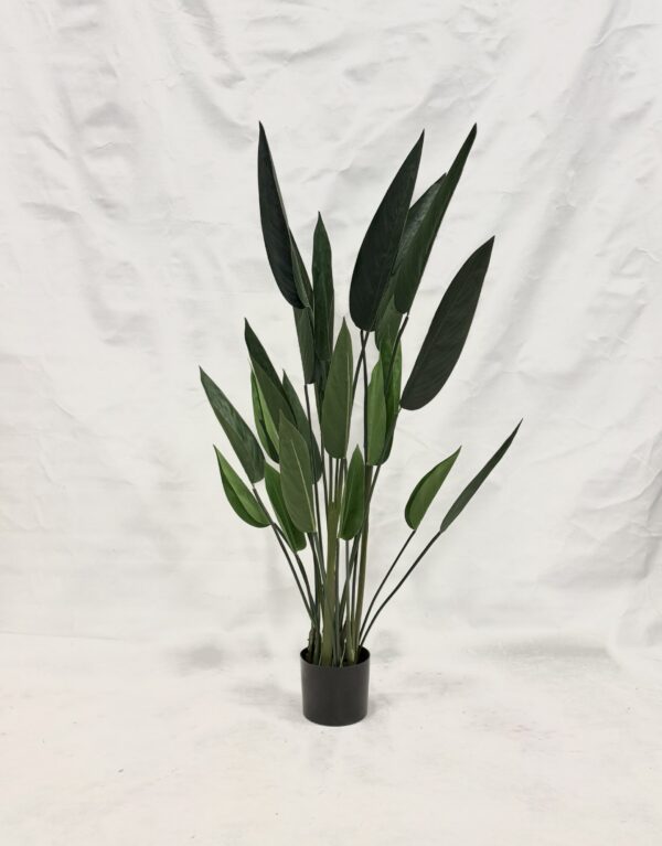 Standing Plant (I1)