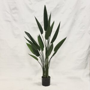 Standing Plant (I2)