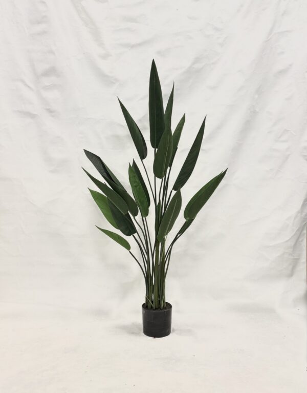 Standing Plant (I2)