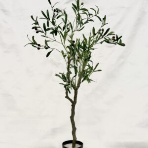 Standing Plant (J1)