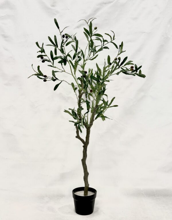 Standing Plant (J1)