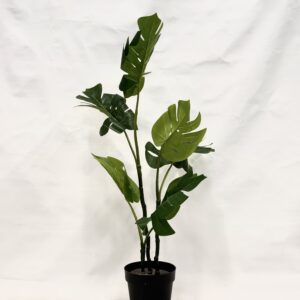 Standing Plant (K1)