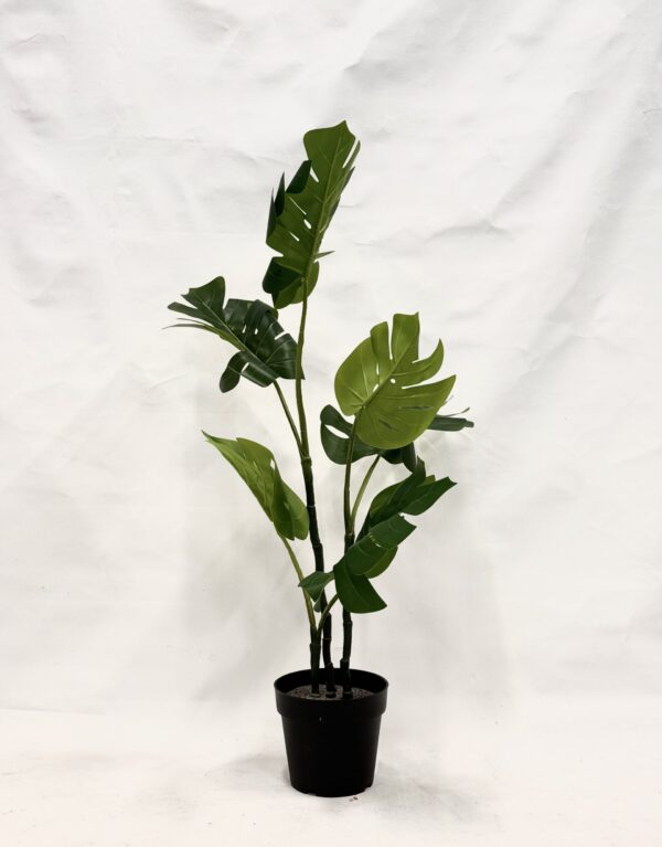Standing Plant (K1)
