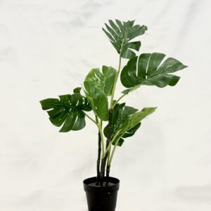 Standing Plant (K2)