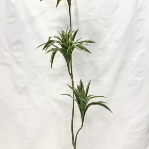 Standing Plant (M1)