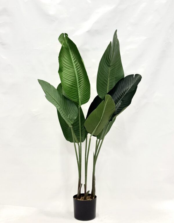 Standing Plant (N1)