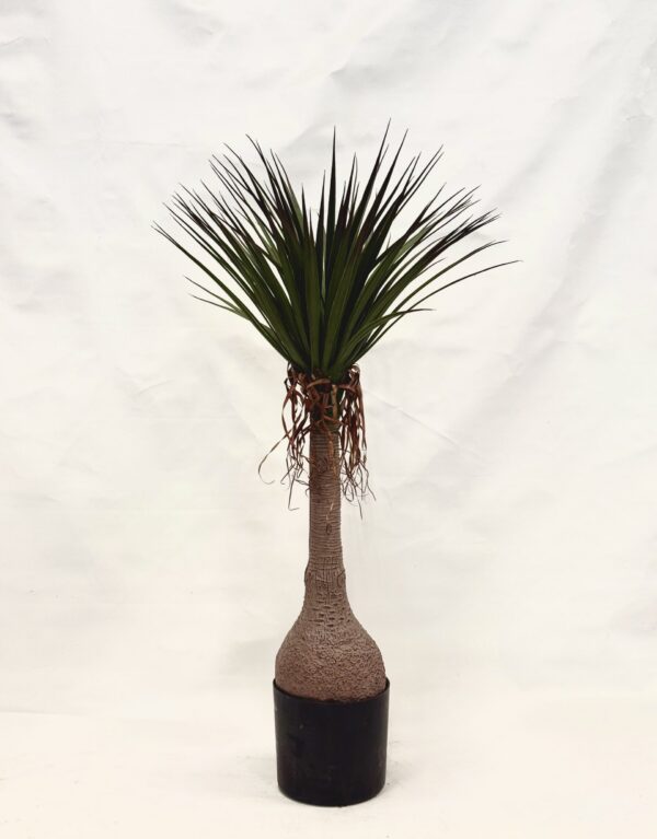 Standing Plant (P1)