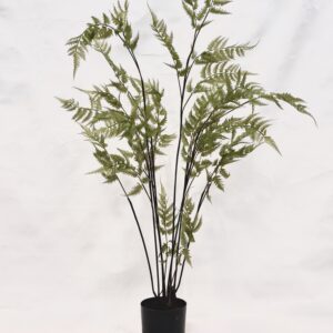 Standing Plant (Q1)