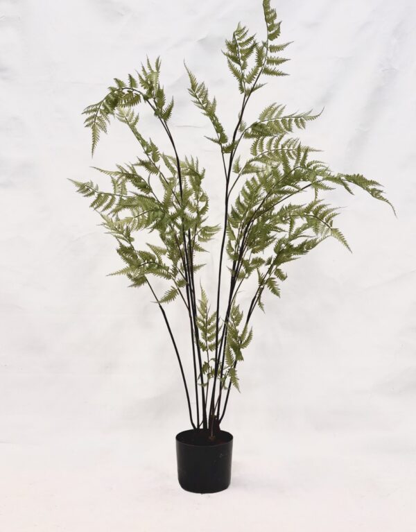 Standing Plant (Q1)