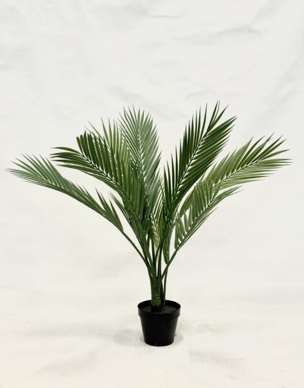 Standing Plant (R3)