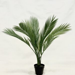 Standing Plant (R2)