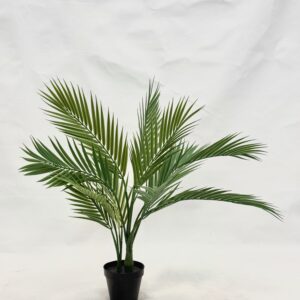 Standing Plant (R4)