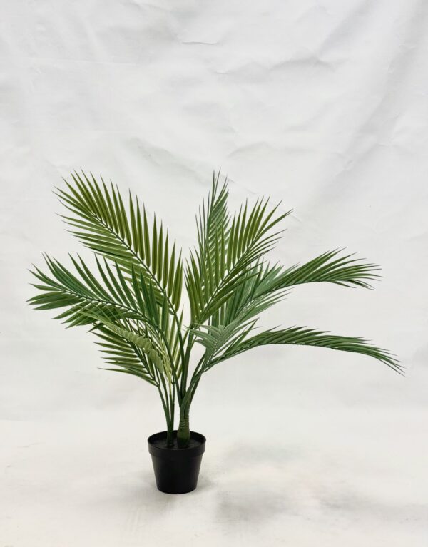Standing Plant (R4)