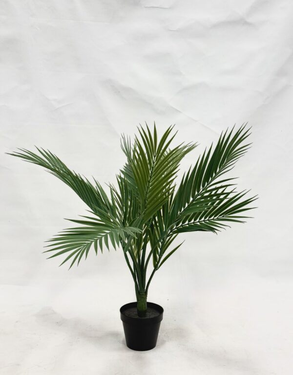 Standing Plant (R1)