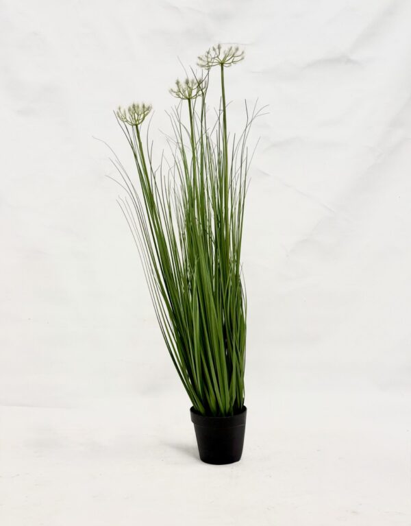 Standing Plant (T1)