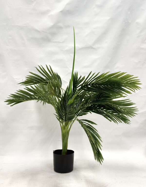 Standing Plant (U1)