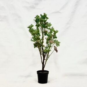 Standing Plant (V1)