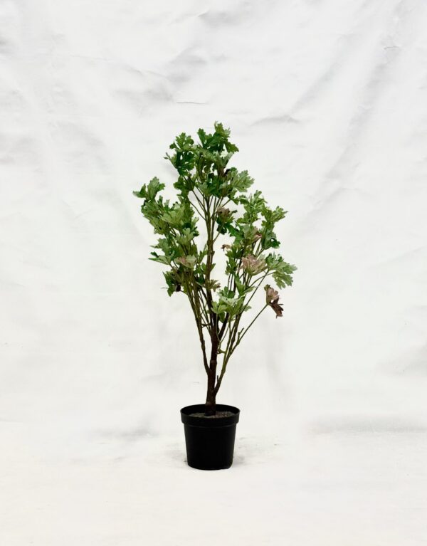 Standing Plant (V1)