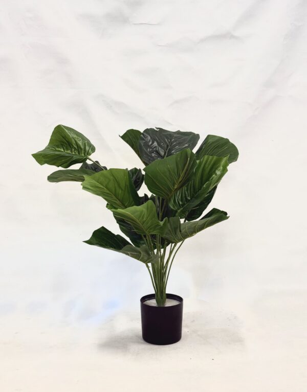 Standing Plant (W1)