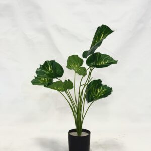 Standing Plant (X1)