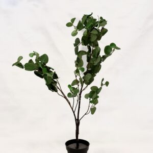 Standing Plant (Z1)