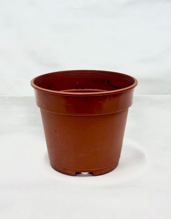Plastic Plant Pot (11)