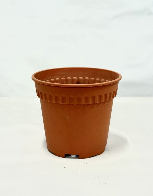 Plastic Plant Pot (12)
