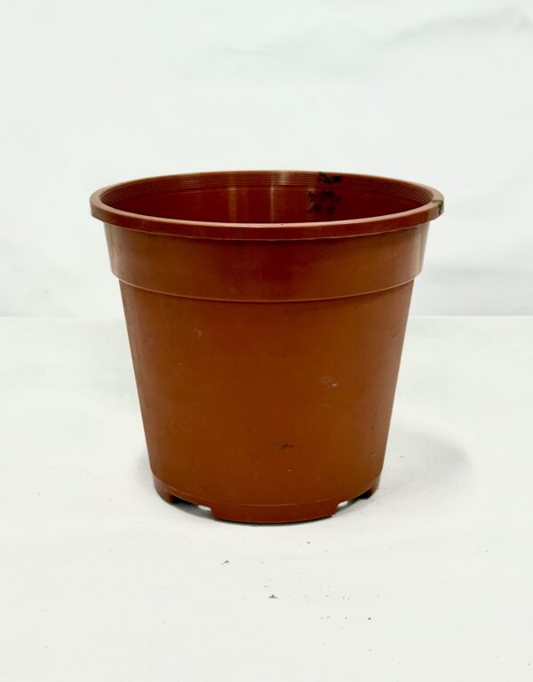 Plastic Plant Pot (13)
