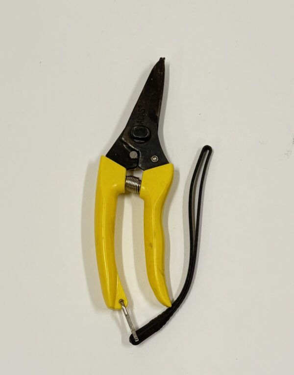 Gardening Tools Metal (J)_Pruning Shears Yellow