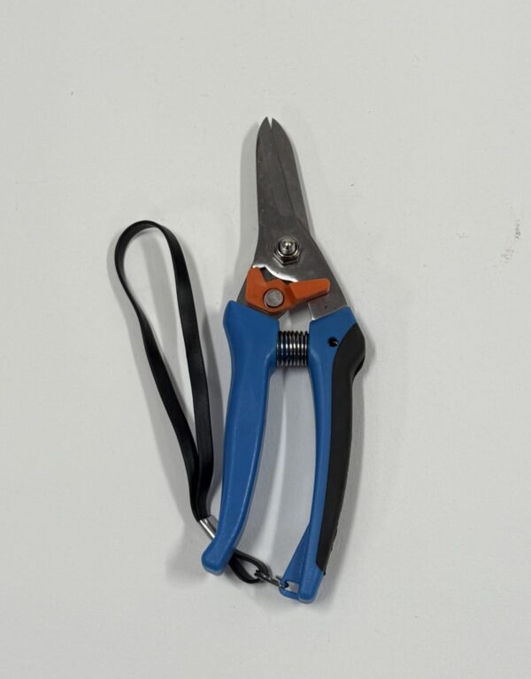 Gardening Tools Metal (K)_Pruning Shears Blue