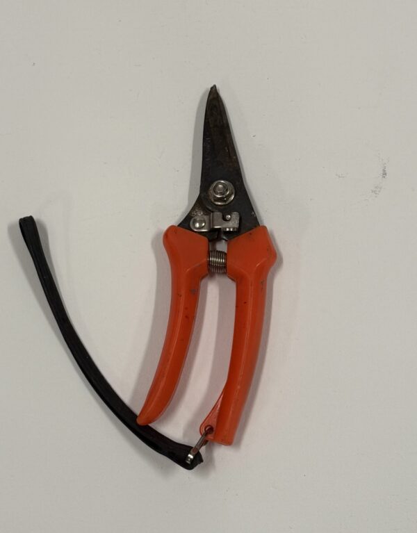 Gardening Tools Metal (M)_Pruning Shears Orange