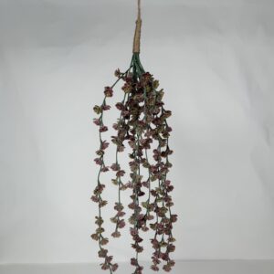 Artificial Flower Stalk Bundle (10)_Magenta Succulent Vine