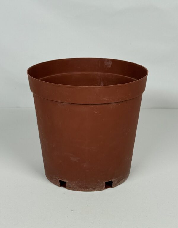 Plastic Plant Pot (22)