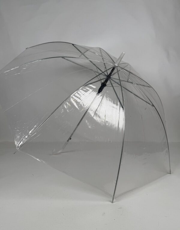 Transparent Umbrella (8)_Button Open S