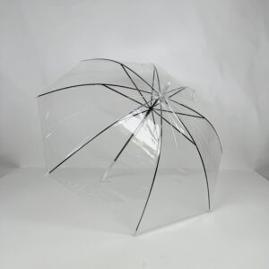 Transparent Umbrella (9)